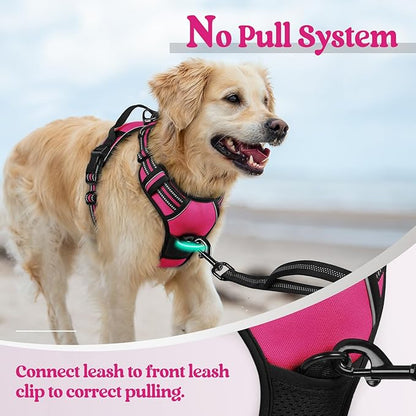 rabbitgoo Dog Harness, No-Pull Pet Harness with 2 Leash Clips, Adjustable Soft Padded Dog Vest, Reflective No-Choke Pet Oxford Vest with Easy Control Handle for Small Dogs, Hot Pink, S