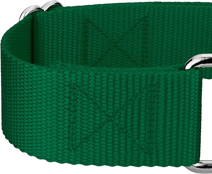 Country Brook Petz 1 1/2 Inch Martingale Heavy Duty Nylon Adjustable Dog Collar for Small, Medium, Large Breeds - Vibrant 17 Color Selection (Green, Large)