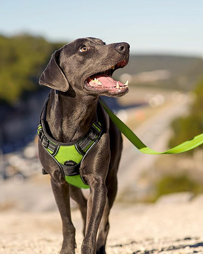 Joytale No Pull Dog Harness for Large Dogs, Reflective Pet Vest with Front Clip, Adjustable Soft Padded Harnesses with Easy Control Handle for Training and Walking, Green, L