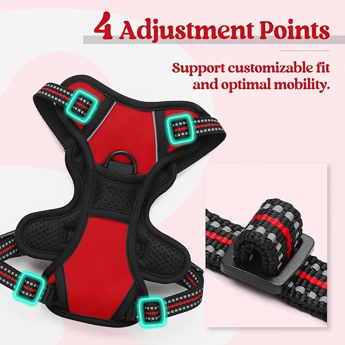 rabbitgoo Dog Harness, No-Pull Pet Harness with 2 Leash Clips, Adjustable Soft Padded Dog Vest, Reflective No-Choke Pet Oxford Vest with Easy Control Handle for Small Dogs, Red,XS