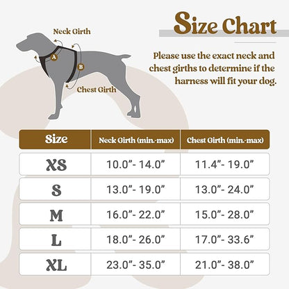 rabbitgoo Dog Harness, No-Pull Pet Harness with 2 Leash Clips, Adjustable Soft Padded Dog Vest, Reflective No-Choke Pet Oxford Vest with Easy Control Handle for Large Dogs, Black, L