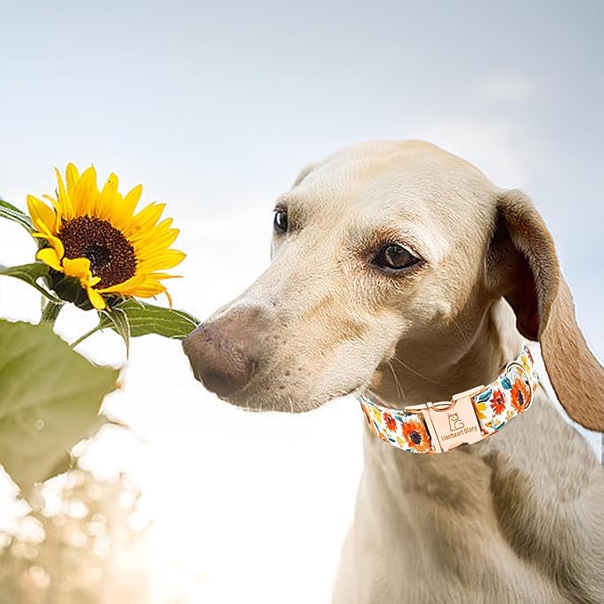 Lionheart glory Dog Collar Sunflower Print Dogs Collar Spring Summer Cute Collars Dog Girl or Boy Soft Durable Adjustable Dog Collars for Large Dogs Pet Gift