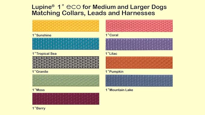 LupinePet Eco 1" Lilac 16-28" Adjustable Collar for Large Dogs