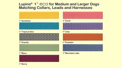LupinePet Eco 1" Lilac 16-28" Adjustable Collar for Large Dogs