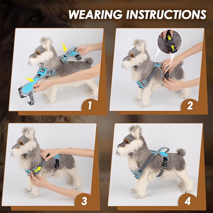 Lukovee No Pull Dog Harness, No Choke Adjustable Dog Harness with 2 Leash Clips and Easy Control Vertical Handle, Soft Padded Dog Vest for Medium and Large Dogs (Medium, Blue)