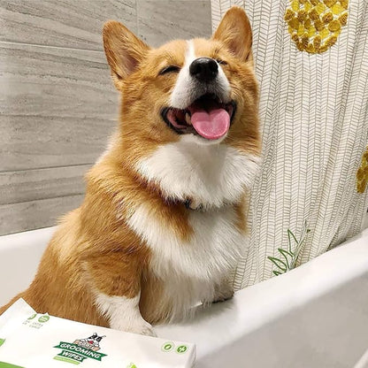 Pogi's Grooming Wipes Home & Travel Bundle - 100-Count Grooming Wipes for Home and 240-Count Packs for Travel