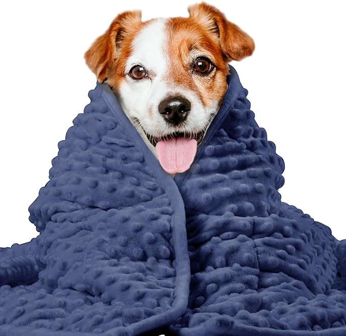 LaSyL Weighted Blanket for Pets | Thunder Blanket for Dogs Anxiety | Premium Soft Minky | Relaxation & Calming & Anti Anxiety | Used in Car, Bed, Couch | Dark Blue, Washable Small 24" L x 32" W