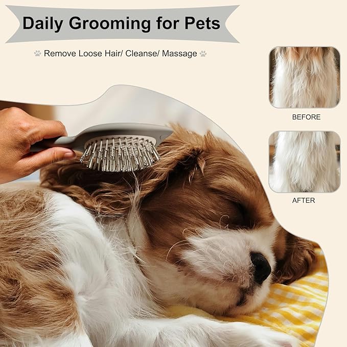 Soft Bristle Cat-Ear Puppy Brush Small Dogs Gentle Comb Grooming Tool Yorkie Shih Tzu Maltipoo Maltese (Grey)