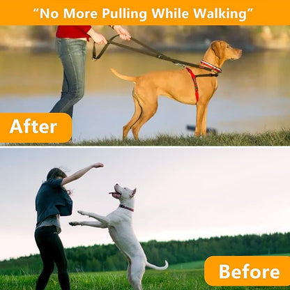 Dog No Pull Collar, Martingale Collar for Large Medium Small Dogs (XL (Neck:20''-23'' Weight Around:90 lbs))