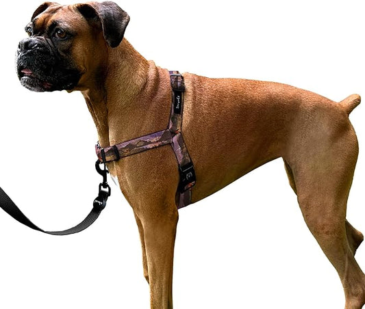 ShawnCo Dream Walk No-Pull Dog Harness- Adjustable, Comfortable, Easy to Use Pet Halter to Help Stop Pulling for Small, Medium and Large Dogs- Art Pattern Designs (Montana Daydream, M)