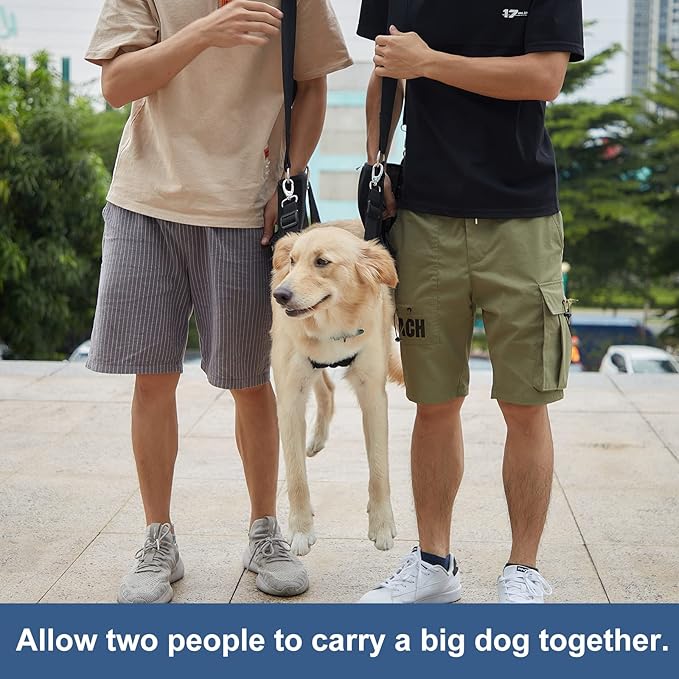 Dog Carry Sling, Emergency Backpack Pet Legs Support & Rehabilitation Dog Lift Harness for Nail Trimming, Dog Carrier for Senior Dogs Joint Injuries, Arthritis, Up and Down Stairs(M, Black)