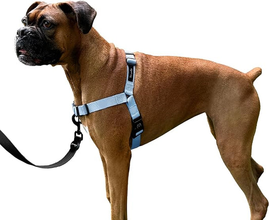 ShawnCo Dream Walk No-Pull Dog Harness- Adjustable, Comfortable, Easy to Use Pet Halter to Help Stop Pulling for Small, Medium and Large Dogs (Moonglow, L)