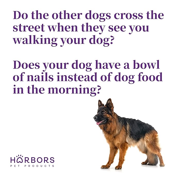 Harbor's Bad Dog Cologne - Friday Night