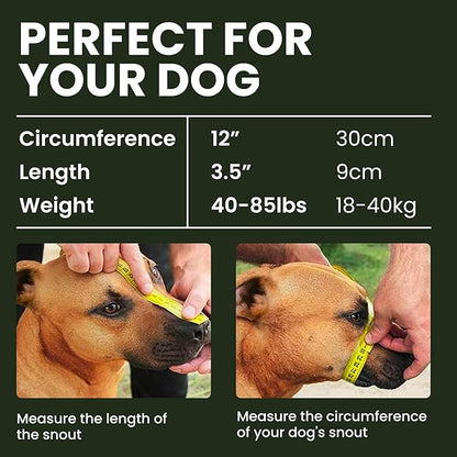 BRONZEDOG Pitbull Dog Muzzle Metal Mask Amstaff Wire Basket Pit Bull Adjustable Leather Straps for Large Dogs (Brown)