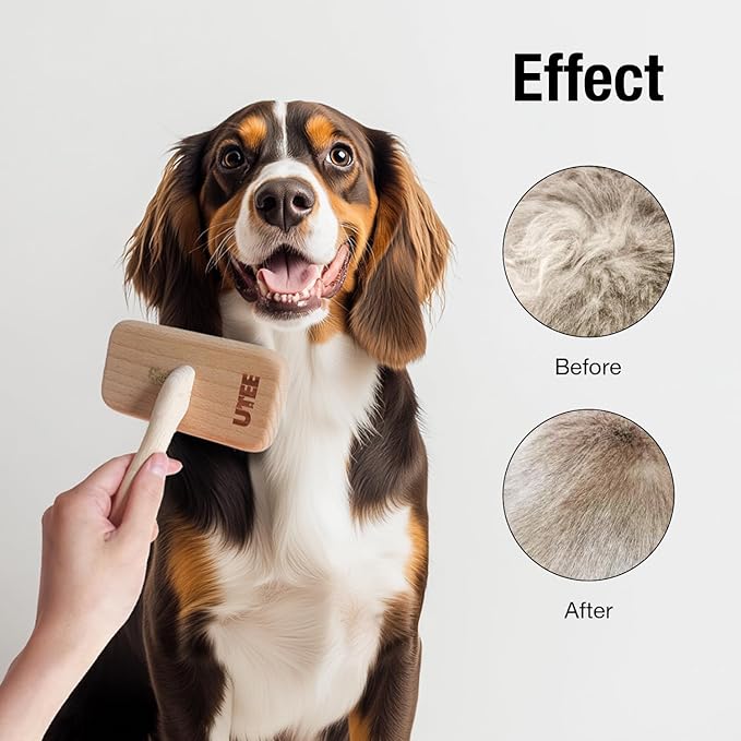Slicker Brush Groom Like a Professinal Stainless Steel Pins, Lightweight Beech Wood Body, Ground and Polished Tips, Large Pet Bruch