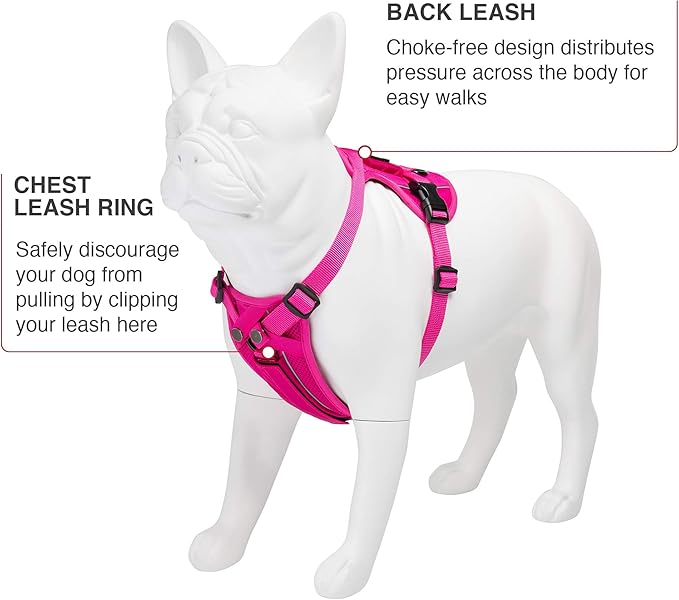 Voyager Freestyle 4-in-1 Dog Harness - Patent Pending Adjustable Webbing Harness with Removable Padding for Small to Large Dogs by Best Pet Supplies - Fuchsia, S