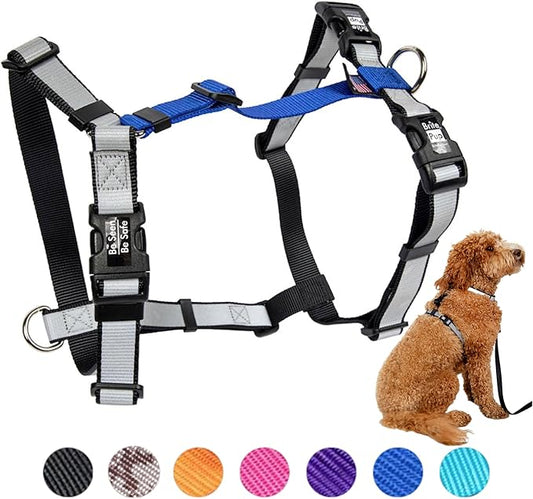No Pull Harness with Fully Customizable Fitment for Medium Dogs - 3M Reflective Heavy Duty Harness for Walking & Training - No Choke Comfortable Collar Design, Made in USA M-Roy Blue