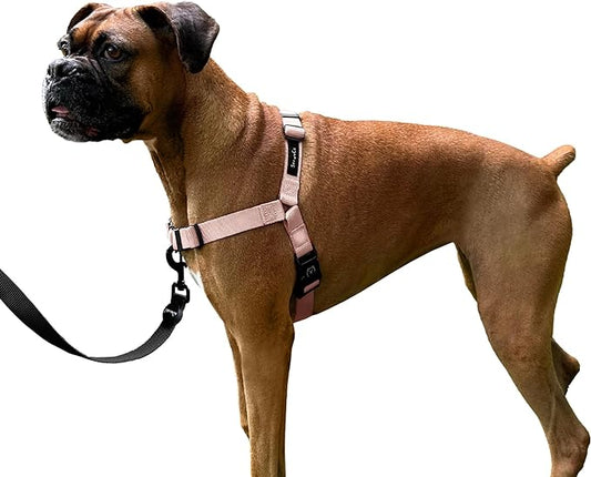 ShawnCo Dream Walk No-Pull Dog Harness- Adjustable, Comfortable, Easy to Use Pet Halter to Help Stop Pulling for Small, Medium and Large Dogs (Rose Gold, L)