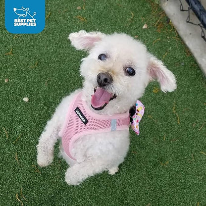 Voyager Step-in Air Dog Harness - All Weather Mesh, Reflective, No Pull Harness for Small, Medium Dogs, Cats - Secure with Hook & Loop Fastener, Buckle, Double D-Rings - Pink, XS