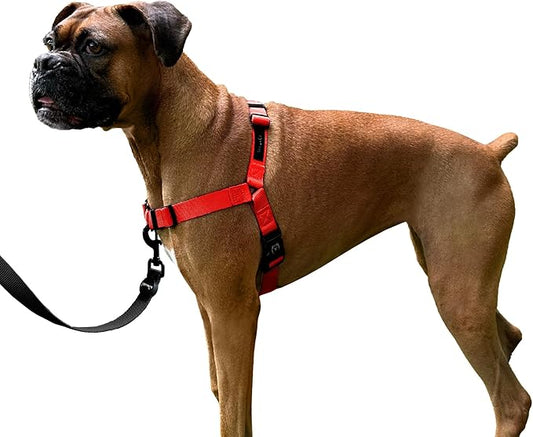 ShawnCo Dream Walk No-Pull Dog Harness- Adjustable, Comfortable, Easy to Use Pet Halter to Help Stop Pulling for Small, Medium and Large Dogs (Mustang Red, L)