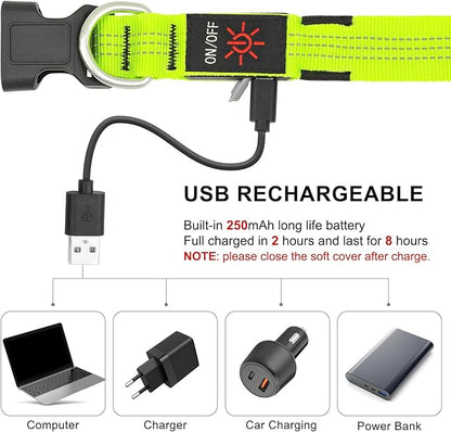 BSEEN Light Up Dog Collar - Glowing LED Dog Collar, Reflective Dog Collar, Adjustable Lighted Dog Collar, Rechargeable Puppy Collar for Night Walking (Green-II, Small)
