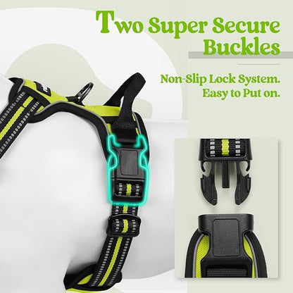 rabbitgoo Dog Harness, No-Pull Pet Harness with 2 Leash Clips, Adjustable Soft Padded Dog Vest, Reflective No-Choke Pet Oxford Vest with Easy Control Handle for Medium Dogs, Wild Lime, M