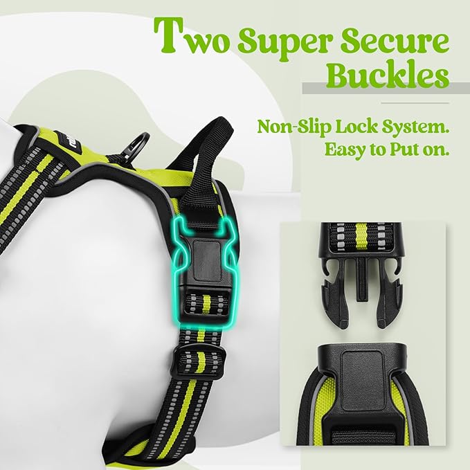 rabbitgoo Dog Harness, No-Pull Pet Harness with 2 Leash Clips, Adjustable Soft Padded Dog Vest, Reflective No-Choke Pet Oxford Vest with Easy Control Handle for Small Dogs, Wild Lime,S