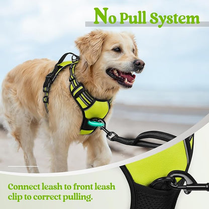 rabbitgoo Dog Harness, No-Pull Pet Harness with 2 Leash Clips, Adjustable Soft Padded Dog Vest, Reflective No-Choke Pet Oxford Vest with Easy Control Handle for Medium Dogs, Wild Lime, M