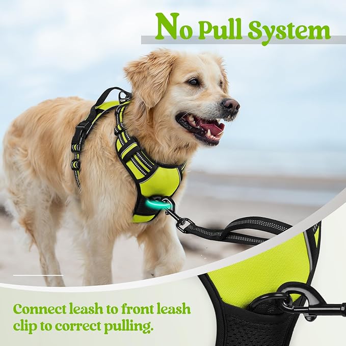 rabbitgoo Dog Harness, No-Pull Pet Harness with 2 Leash Clips, Adjustable Soft Padded Dog Vest, Reflective No-Choke Pet Oxford Vest with Easy Control Handle for Small Dogs, Wild Lime,S