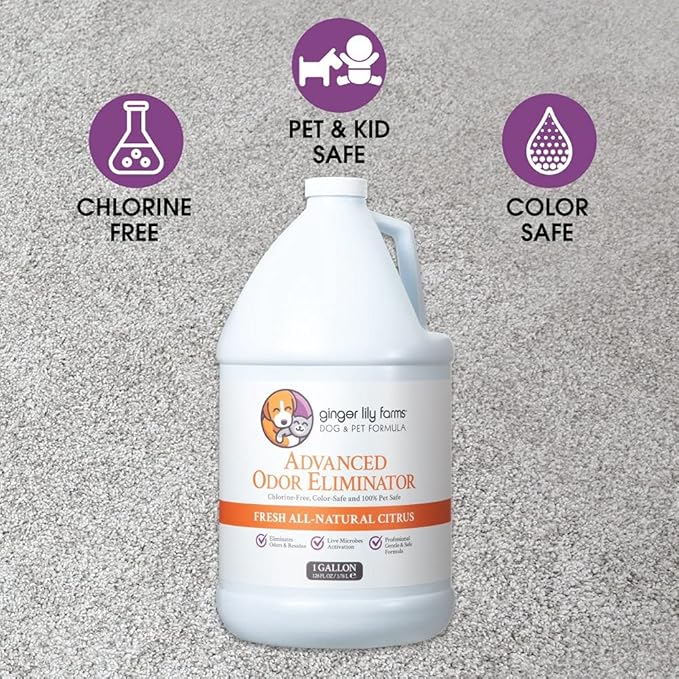 Ginger Lily Farms Dog & Pet Formula Advanced Odor Eliminator, Professional Strength, Fresh All-Natural Citrus, 1 Gallon Refill (128 fl oz)