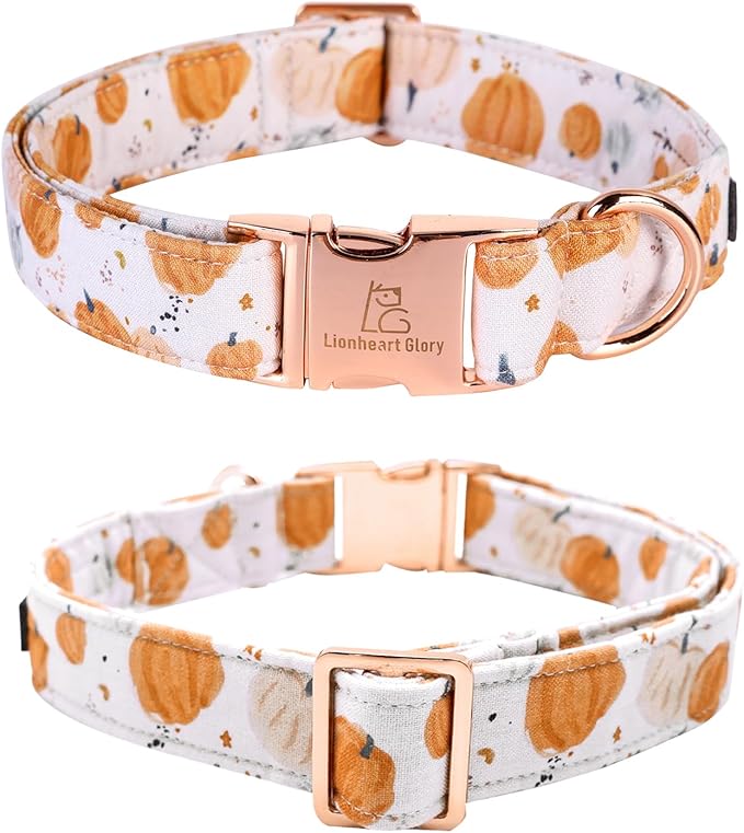 Lionheart glory Dog Collar Halloween Collar Dog Fall Dog Collars, Adjustable Heavy Duty Dog Collar for Medium Dogs Pumpkin Collar Dog