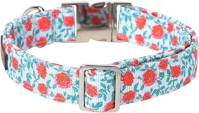 Lionet Paws Dog Collar, Comfortable Adjustable Cute Collar with Metal Buckle for Male Female Dogs Gift, Rose, XLarge, Neck 16-26 inches