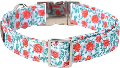 Lionet Paws Dog Collar, Comfortable Adjustable Cute Collar with Metal Buckle for Male Female Dogs Gift, Rose, XLarge, Neck 16-26 inches