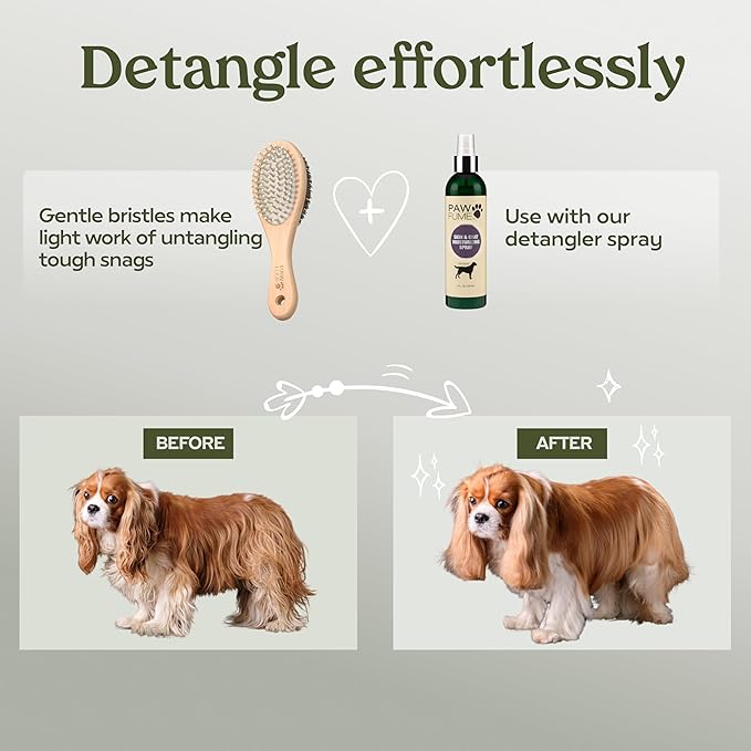 PAWFUME 2-in-1 Cat & Dog Brush – Sculpt Salon-Soft Coats in Minutes – Rubber-Tipped Pins, Smooth Tangles, Wood-Handle Comfort, & Gently Massages Skin – Doubles as a Cat Brush for All Breeds