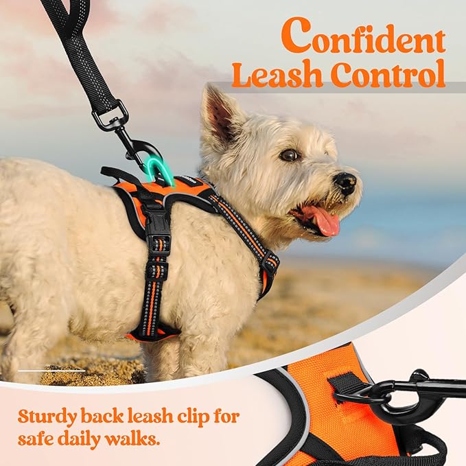 rabbitgoo Dog Harness, No-Pull Pet Harness with 2 Leash Clips, Adjustable Soft Padded Dog Vest, Reflective No-Choke Pet Oxford Vest with Easy Control Handle for Small Dogs, Orange,XS