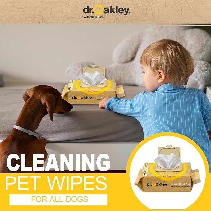 Daily Natural Dog Wipes, Honey & Oatmeal, 100 Ct, Gentle, Moisturizing, Odor-Eliminating, Alcohol-Free, Vet Approved