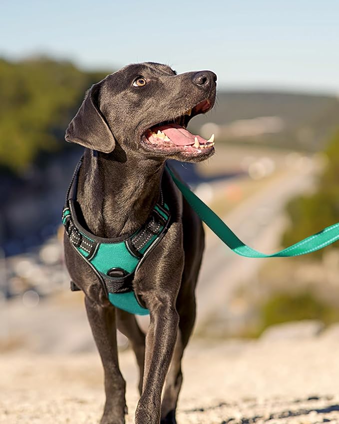 Joytale No Pull Dog Harness for Extra Large Dogs, Reflective Pet Vest with Front Clip, Adjustable Soft Padded Harnesses with Easy Control Handle for Training and Walking, Teal, XL