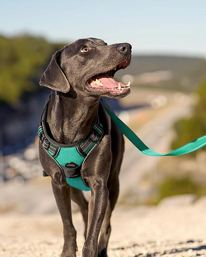 Joytale No Pull Dog Harness for Extra Large Dogs, Reflective Pet Vest with Front Clip, Adjustable Soft Padded Harnesses with Easy Control Handle for Training and Walking, Teal, XL