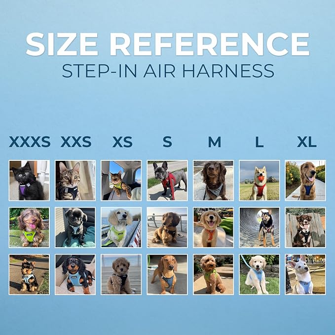 Voyager Step-in Air Dog Harness - All Weather Mesh, Reflective, No Pull Harness for Small, Medium Dogs, Cats - Secure with Hook & Loop Fastener, Buckle, Double D-Rings - Black, S