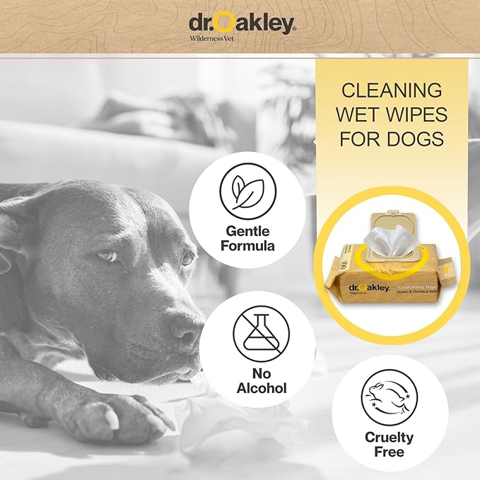 Daily Natural Dog Wipes, Honey & Oatmeal, 100 Ct, Gentle, Moisturizing, Odor-Eliminating, Alcohol-Free, Vet Approved