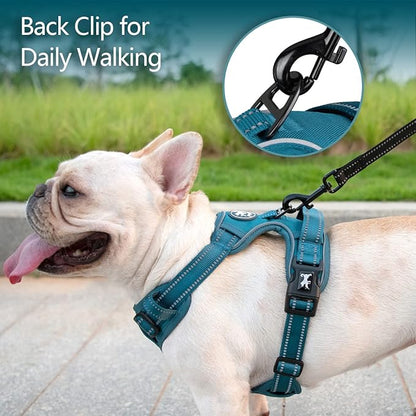 PoyPet No Pull Dog Harness, No Choke Reflective Dog Vest, Adjustable Pet Harnesses with Easy Control Padded Handle for Small Medium Large Dogs(Tumalo Teal,L)