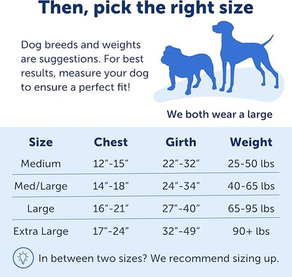 PetSafe Easy Walk No-Pull Dog Harness - The Ultimate Harness to Help Stop Pulling - Take Control & Teach Better Leash Manners - Helps Prevent Pets Pulling on Walks, Large, Charcoal/Black