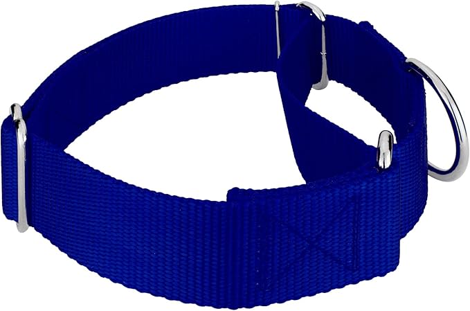 Country Brook Petz 1 1/2 Inch Martingale Heavy Duty Nylon Adjustable Dog Collar for Small, Medium, Large Breeds - Vibrant 17 Color Selection (Royal Blue, Large)