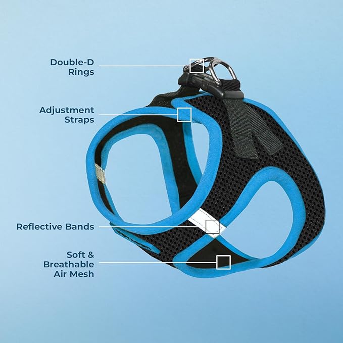 Voyager Step-in Air Dog Harness - All Weather Mesh, Reflective, No Pull Harness for Small, Medium Dogs, Cats - Secure with Hook & Loop Fastener, Buckle, Double D-Rings - Black/Blue Trim, L