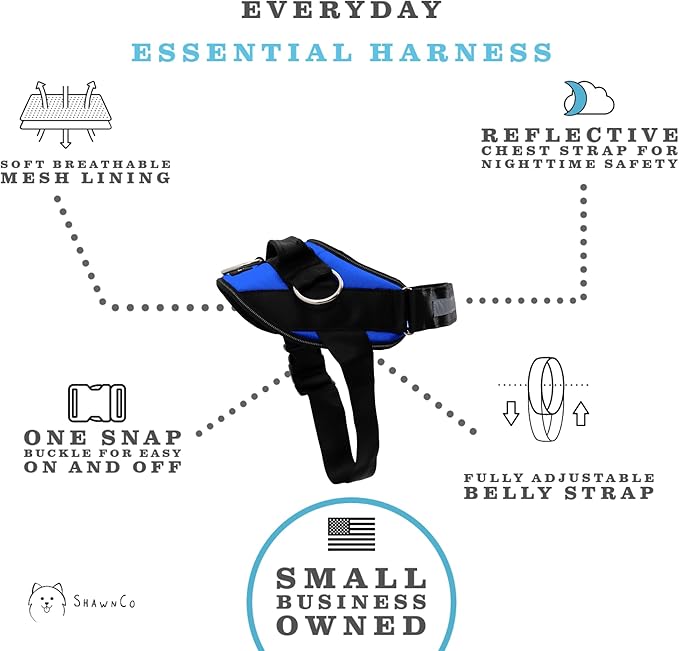 ShawnCo Essential Dog Harness, No-Pull Pet Vest with 3 Leash Clips, No Choke, Reflective, Adjustable and Padded, for Easy Walking and Training for Small, Medium and Large Dogs (Electric Blue,XS)