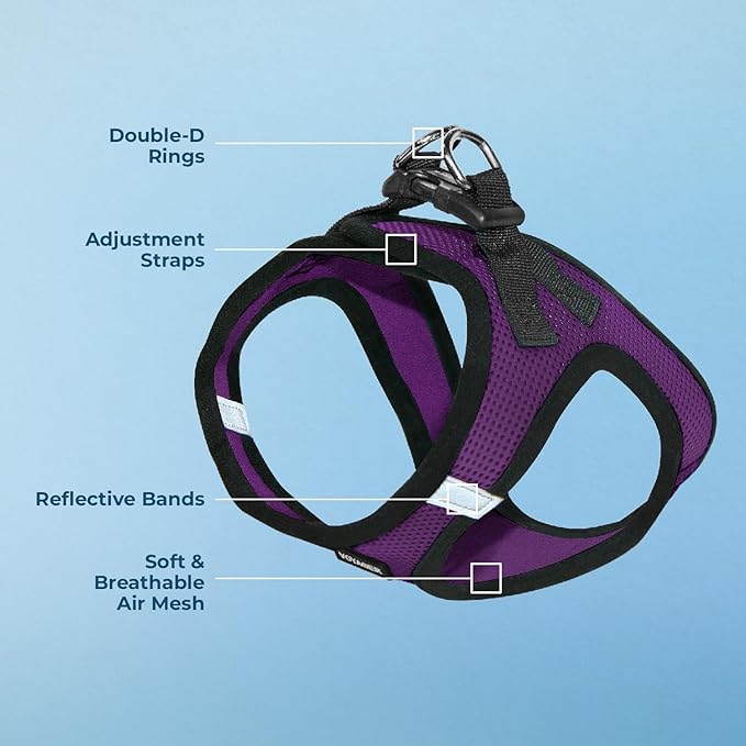 Voyager Step-in Air Dog Harness - All Weather Mesh, Reflective, No Pull Harness for Small, Medium Dogs, Cats - Secure with Hook & Loop Fastener, Buckle, Double D-Rings - Purple/Black Trim, S