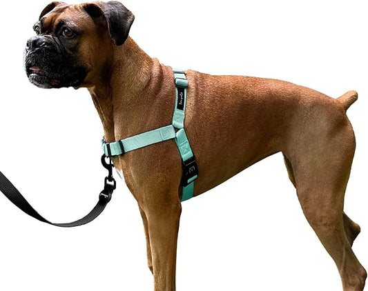 ShawnCo Dream Walk No-Pull Dog Harness- Adjustable, Comfortable, Easy to Use Pet Halter to Help Stop Pulling for Small, Medium and Large Dogs (Seafoam, M)