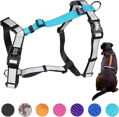 No Pull Harness with Fully Customizable Fitment for Large Dogs - 3M Reflective Heavy Duty Harness for Walking & Training - No Choke Comfortable Collar Design, Made in USA L-Sky Blue