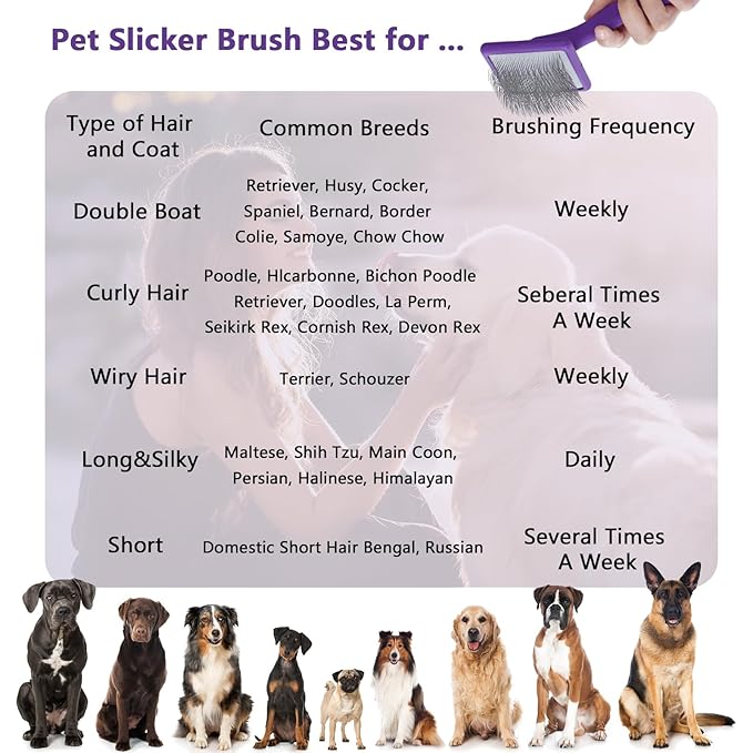 Ergonomic Slicker Brush for Long-Haired Cats - Wooden Handle, Long Pins for Grooming Loose Hair (Purple)