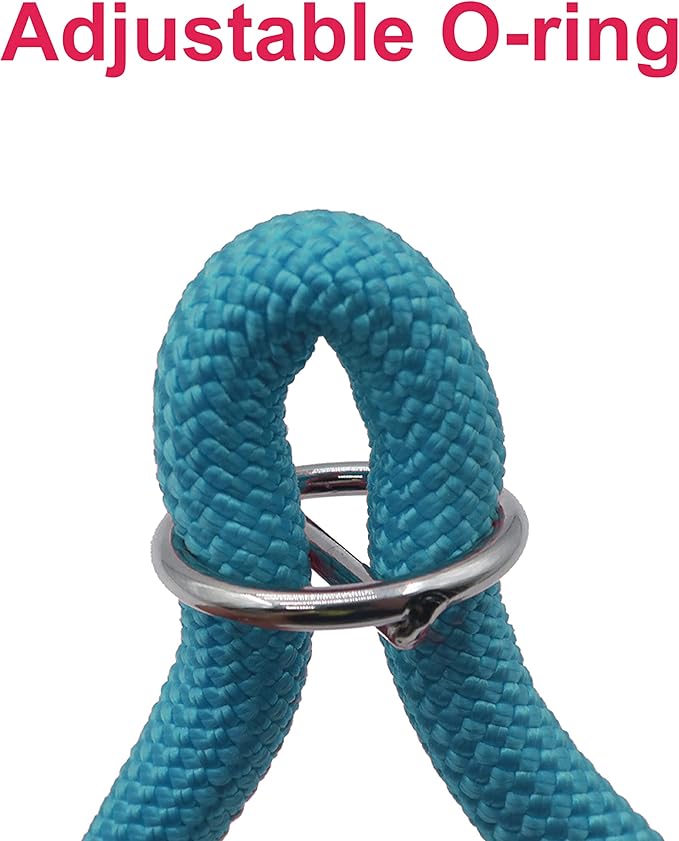 Braided Rope Collar, Pro Training Dog Collar, No Pull Round Martingale Collar, Slip Collar with Slidable Stop Ring - Ideal for Small Dogs (S(1/3") - 16" Long, Light Blue)
